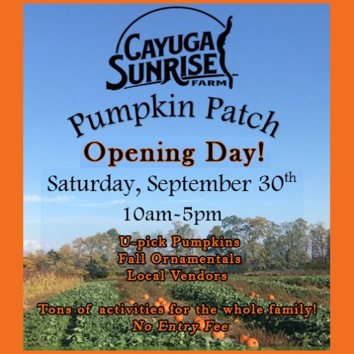 2023-09-30-CayugaSunriseFarm